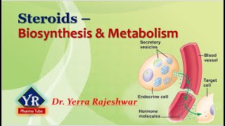 Steroids  Biosynthesis amp Metabolism  Biosynthesis and Metabolism of Steroids  YR Pharma Tube [upl. by Millar]