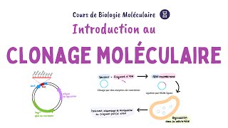 Introduction au clonage moléculaire de lADN [upl. by Nanaek]