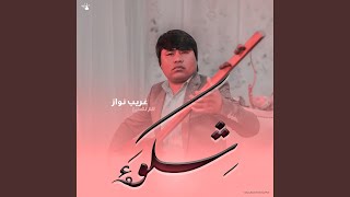 شکوه هزارگی [upl. by Wrdna609]