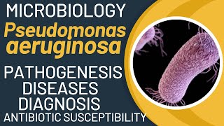 Pseudomonas aeruginosa pathogenesis  general properties virulence factors disease lab tests [upl. by Yrocal634]