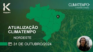 Previsão do tempo Nordeste  311024  Koppert amp Climatempo [upl. by Etty884]