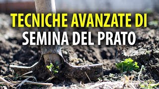 Tecniche Avanzate di Semina e Risemina del Prato [upl. by Kristie741]