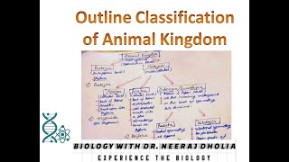 Outline classification of Animal Kingdom [upl. by Triplett]