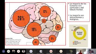 Tumores cerebrales [upl. by Newol]