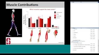 Using OpenSim to explore the mechanics of pathological gait patterns [upl. by Zara]