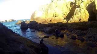 Abalone Diving Northern California [upl. by Almeeta538]