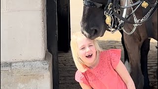 Parent Silly Mistake  Tourist Favourite Place in London  King’s Life Guard Horse [upl. by Attenaz]