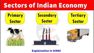 Sectors of Indian Economy  Primary Sector  Secondary Sector  Tertiary Sector [upl. by Gnuj]