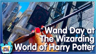 I Bought My Own Harry Potter Wand at Universal Orlando and Now Im a Witch [upl. by Slocum748]