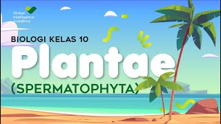 BIOLOGI Kelas 10  Kingdom Plantae Part 2  Spermatophyta  GIA Academy [upl. by Rednaskela]