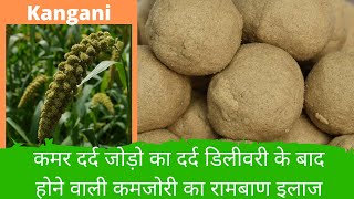 Kangni  Foxtail Millet Ladoo Recipe  कंगनी लड्डू  Healthy amp Tasty Nutritious Sweet Ladu  AARUS [upl. by Garcia]