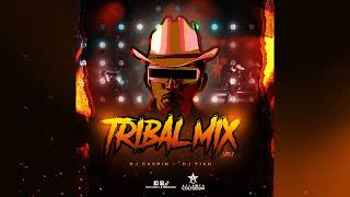 Tribal Mix Vol 1  DJ Caspin Ft DJ Tian [upl. by Anevad]