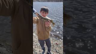 Giant pickerel pickerel fishing fish pikefishing viralvideo [upl. by Dyanne263]