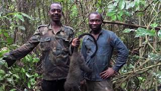 Histoire dune chasse  Cameroun [upl. by Oelc]