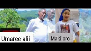 Umaree Alii Maki oro new oromoo music 2024 mp3 [upl. by Eynttirb92]