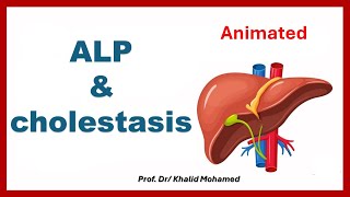 Animation of ALP increases in cholestasis alp animation cirrhosis [upl. by Aniled259]