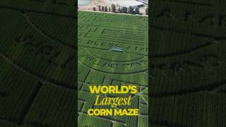 Guinness World Record Corn Maze 65 Acres Cool Patch Pumpkins Fall Tradition Dixon California [upl. by Teiluj]