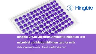 Ringbio Broad Spectrum Antibiotic Test Kit ACCUPLUS MAT5 the milk antibiotic inhibition test kit [upl. by Kalin290]