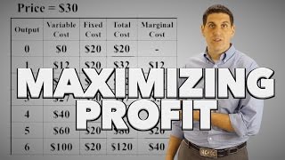 Maximizing Profit Practice [upl. by Aila]