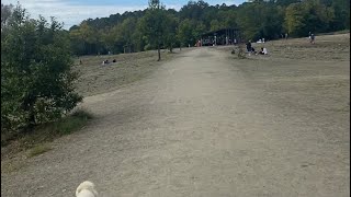 Crater of Diamonds State Park and the town of Murfreesboro Arkansas [upl. by Merrili479]