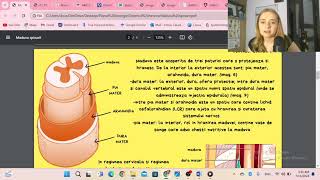 Exercitii extra maduva spinarii [upl. by Krock119]