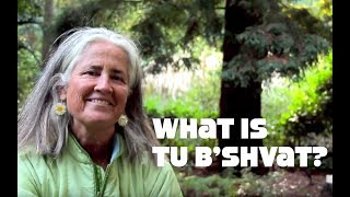 What is Tu Bshevat The Jewish Tree Holiday [upl. by Aeniah]