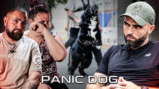 quotMon chien est devenu un CRMINEL quot  Chien AGRESSIF HUMAIN  Panic Dog Ep17 [upl. by Nameloc]