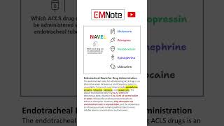 ACLS Drugs Via ETT NAVEL [upl. by Flam]