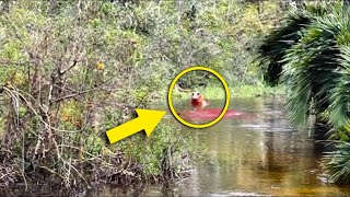 Drone Hace un Escalofriante Descubrimiento en un Río Nadie Debería Ver Esto [upl. by Terces524]