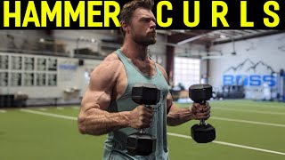 How To Perform HAMMER CURLS  Biceps Exercise Tutorial [upl. by Nhojleahcim]