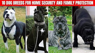 10 Dog Breeds for Home Security And Family Protection [upl. by Liatris]