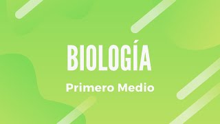 BIOLOGÍA  Diversidad biológica y sus explicaciones II 1° Medio  Clase N°3 [upl. by Ledarf]