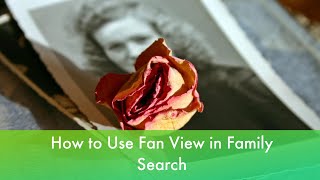 Fan View in Family Search  How to Use it Why Use Fan Charts  Family Search Tutorials [upl. by Suzi]