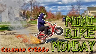 COLEMAN CT200U  Minibike Monday  Learn Wheelies [upl. by Iviv334]