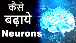 How To Increase Neurons In The Brain Neurogenesis And Neuroplasticity [upl. by Shreeves]