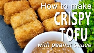 HOW TO MAKE CRISPY TOFU with PEANUT SAUCE  TOFU RECIPE  BUDGET AND EASY RECIPE [upl. by Nnewg]