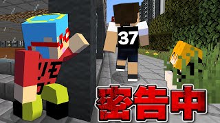 背中の数字を絶対に見られてはいけない【マインクラフト】【カラフルピーチ×ぷちひな×たま】 [upl. by Gardal]