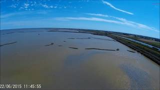 Flamingos got by a drone in Comacchio lagoon Italy [upl. by Yroc]