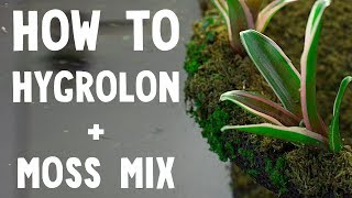 Hygrolon Terrarium with Moss Mix TEST [upl. by Ignacia]