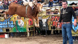 MEMO ACAMPÓ LLEGO CON SUS MEJORES TOROS A LA CAÑADA DE COENEO MICHOACÁN ¡¡ 22 DE DICIEMBRE 2022 [upl. by Aivato485]