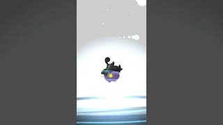 shiny pumpkaboo evolution in pokemon go shorts [upl. by Poppas]