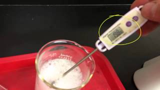 exothermic and endothermic reaction demonstrations [upl. by Ivets]