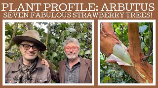 Plant profile arbutus  we take a look at seven different strawberry trees [upl. by Lenrad]