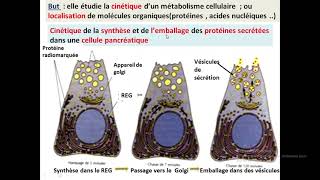 Cytologieبالعربية  2 Les méthodes détude de la cellule  Part 3 MEB  Les techniques [upl. by Luca428]