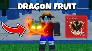 Blox Fruits FULL Reworked Dragon Fruit Showcase  Fan Made [upl. by Prentice]