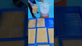 The turmeric and kojic acid soap mixture is poured into molds and left to cool and set [upl. by Twedy]