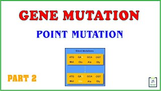 Gene mutation  Point mutation  Part 2 [upl. by Der38]