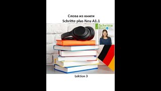 Слова из книги Schritte plus Neu A11 Lektion 3  Слушаем и учим по лекциям [upl. by Anewor]