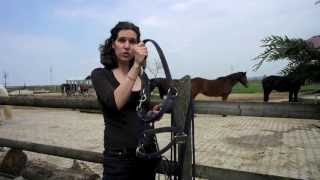 PaardencoachTips Welk materiaal gebruikt de paardencoach [upl. by Airamesor594]