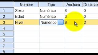 Tutorial de SPSS Video 2 [upl. by Ssur]